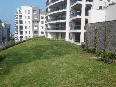 Portfolio Image